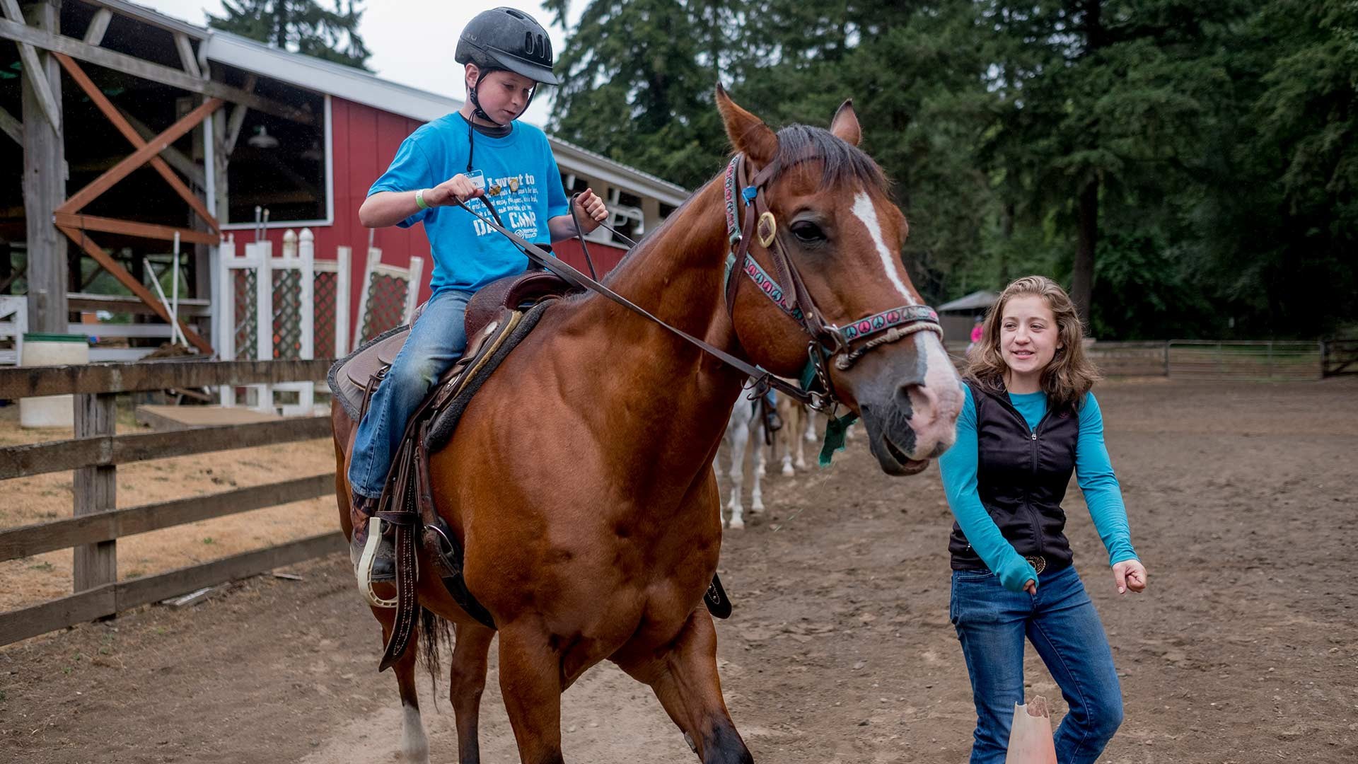 CRISTA Camps Blog - Adaptive Riding Hero Image